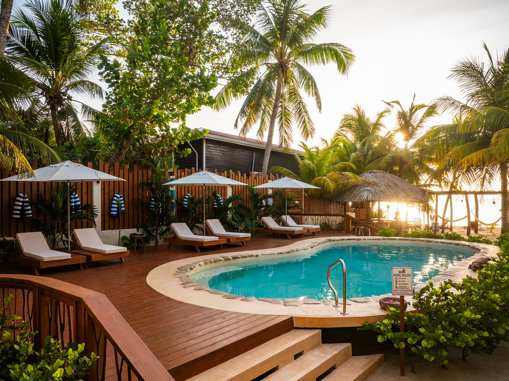 Tropical resort pool with lounge chairs, palm trees, and sunset light by the water