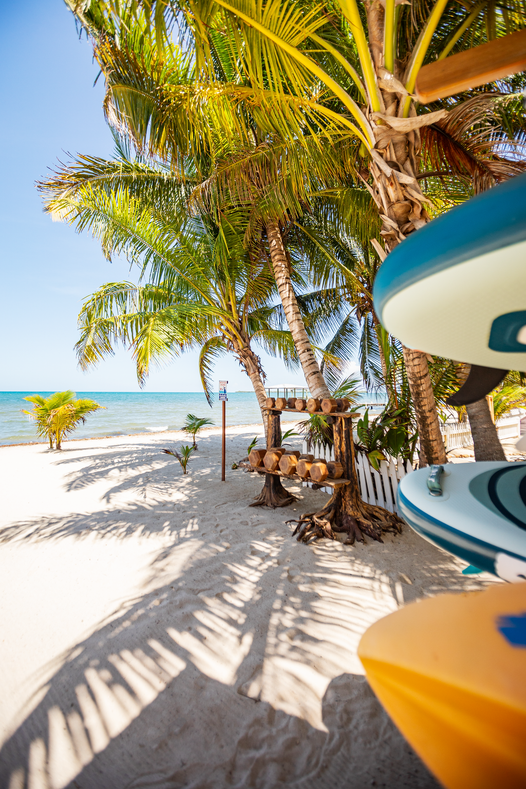 Sunny tropical beach with palm trees, white sand, turquoise water, and colorful surfboards at right