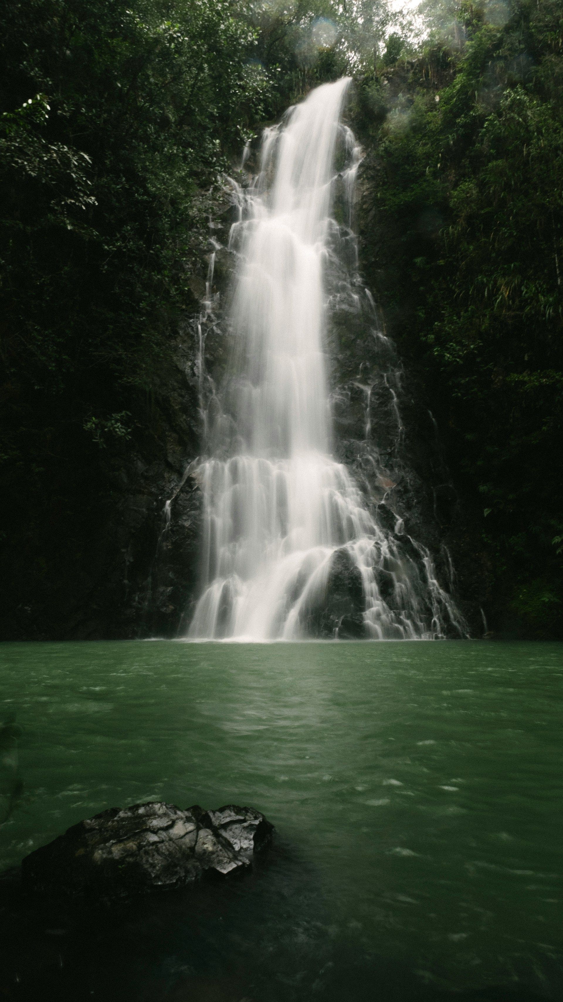 Tall waterfall cascading into a green pool, surrounded by dense dark forest.