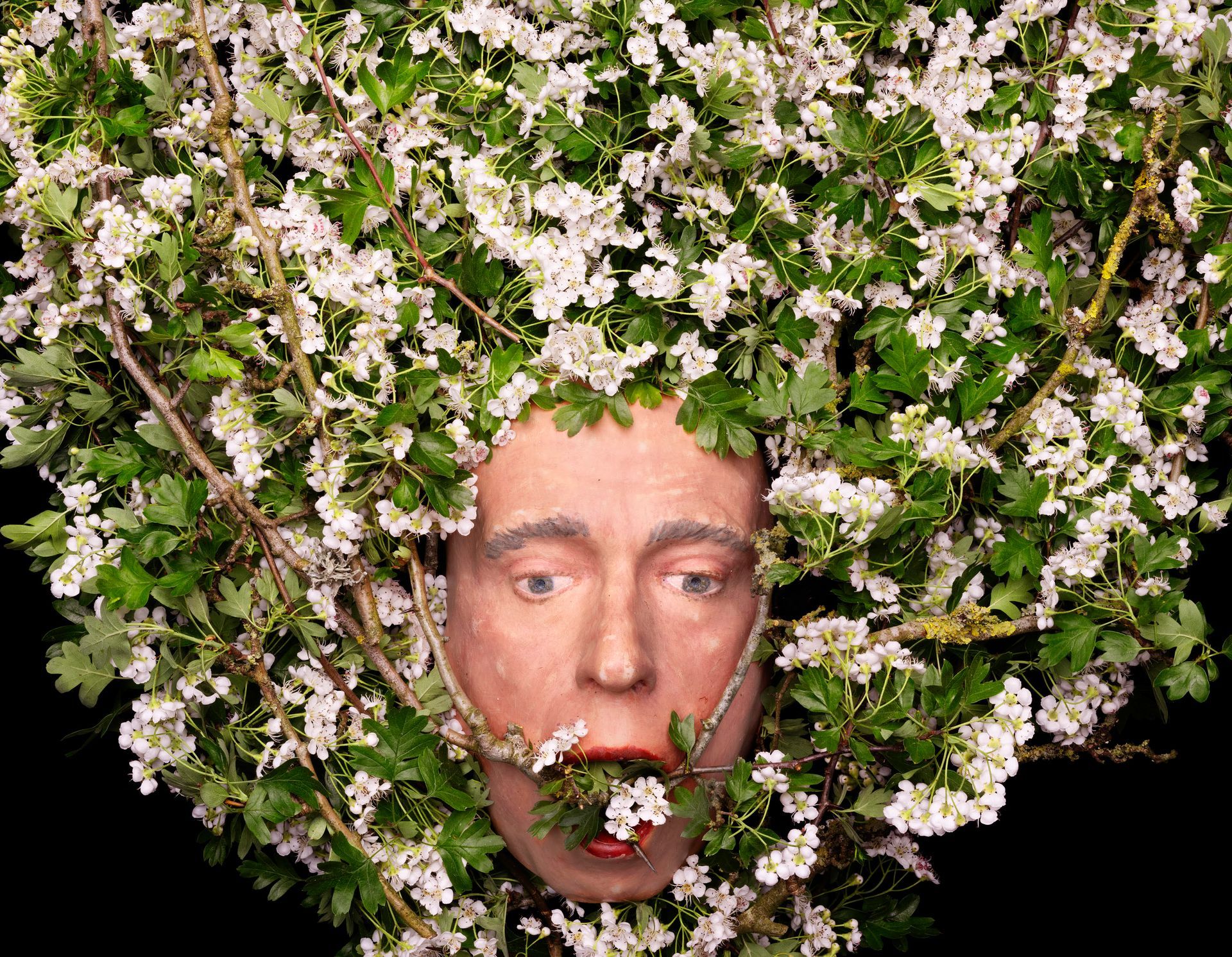 In mythology, the Green Man is a Forest god, an emblem of the birth, death, and rebirth cycle of the natural year, and a symbol of human connection with nature.
The Green Man motif inspired me to imagine the human relationship with nature in a distant, forgotten past, drawing on Jung’s concept of the collective unconscious. 
In keeping with my practice, I have used masks of my face and family, this time using projection and 3D printing.
As hunter-gatherers, we were part of nature for the first 300,000 years of our existence. But for the last 10,000 years, since the Neolithic Revolution, humans have been in conflict with nature. 
The UK, for example, was covered in forest, but this was cleared, bit by bit, for cereal and livestock farming. Seventy years ago, after WWII, the destruction of nature in the UK accelerated dramatically in the service of increased productivity. Native Woodland now covers only 2.5% of the UK. The UK is ranked one of the most nature-depleted countries in the world, and Britain ranks bottom in Europe for nature connectedness.
Humans urgently need to reconnect with nature, to value it again, and allow nature, in all its wildness and chaos, back into the world.