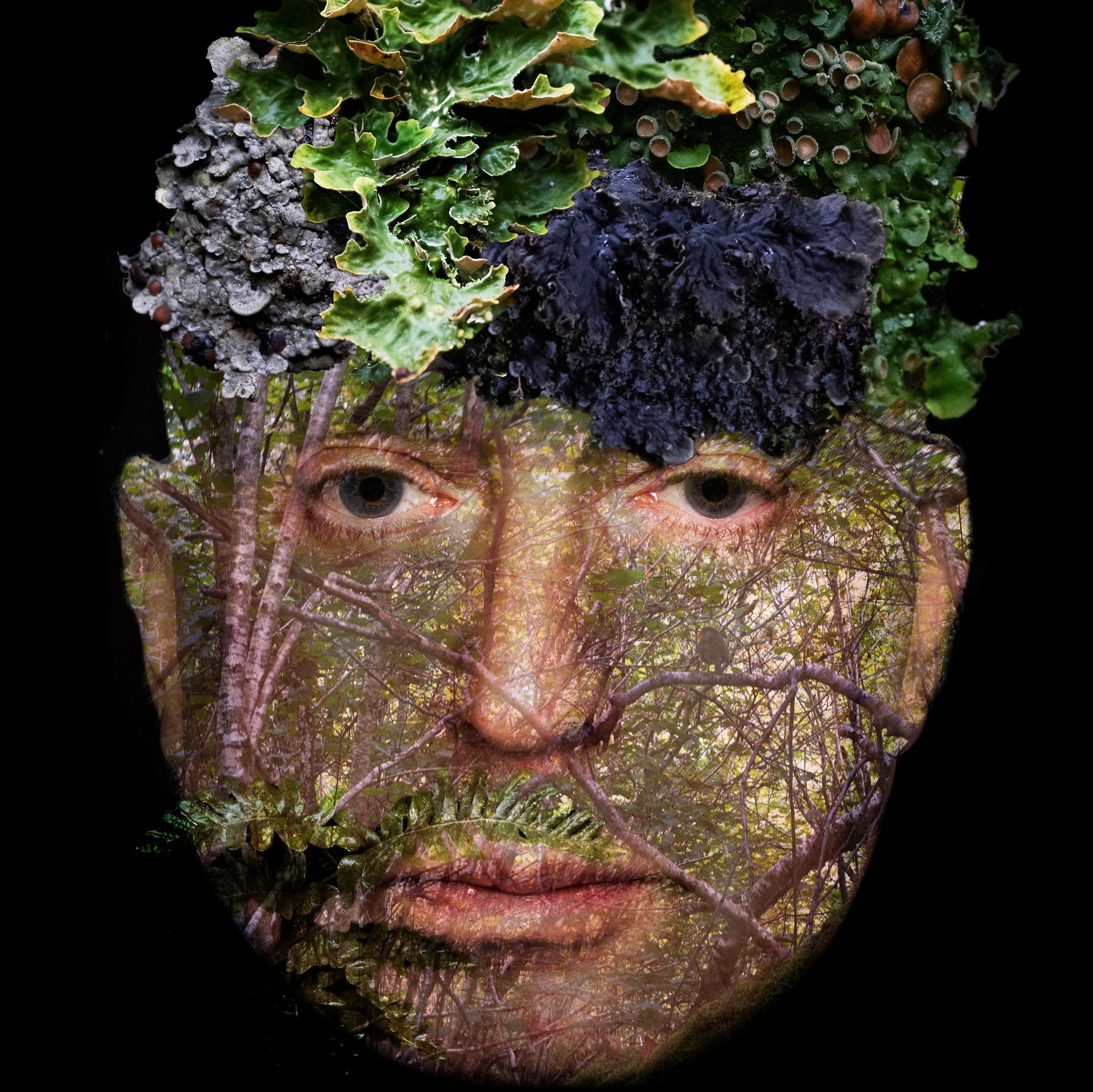 In mythology, the Green Man is a Forest god. He symbolizes the natural year's birth, death, and rebirth cycle and human connection with nature.
In the UK we have forgotten what Nature looks and feels like. Our baseline for what we think of as nature bears no relationship to the biodiversity that existed before humans started farming the land, 6000 years ago,
There are some special places around the UK where woodland has been allowed to re-establish itself by controlling deer overgrazing and excluding sheep. Biodiversity has increased quickly in these places.
These digital assemblages are made by 