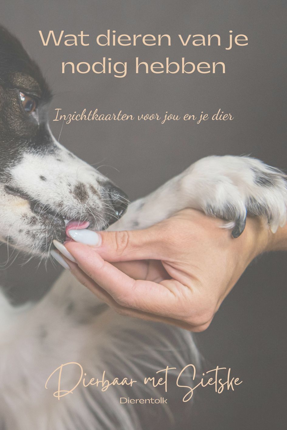 Wat dieren van je nodig hebben