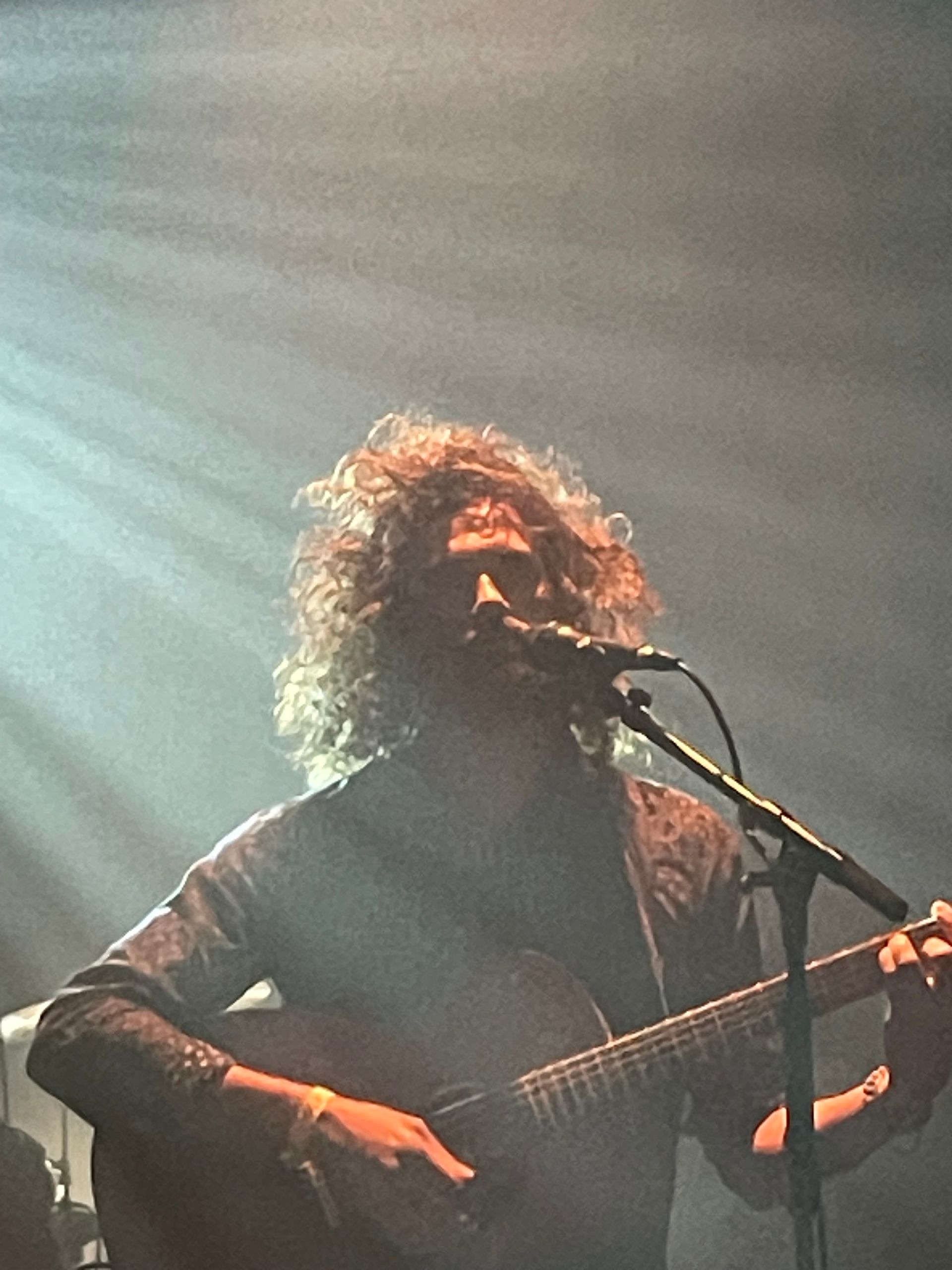Zangeres met krullend haar treedt op onder een dramatische schijnwerper, speelt gitaar en zingt in een microfoon.