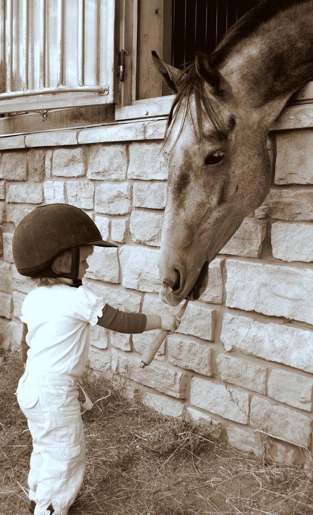 Child in a helmet reaches toward a horse’s muzzle over a stable wall
