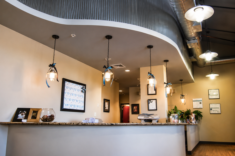 Modern reception lobby with curved ceiling, hanging lights, and front desk counter