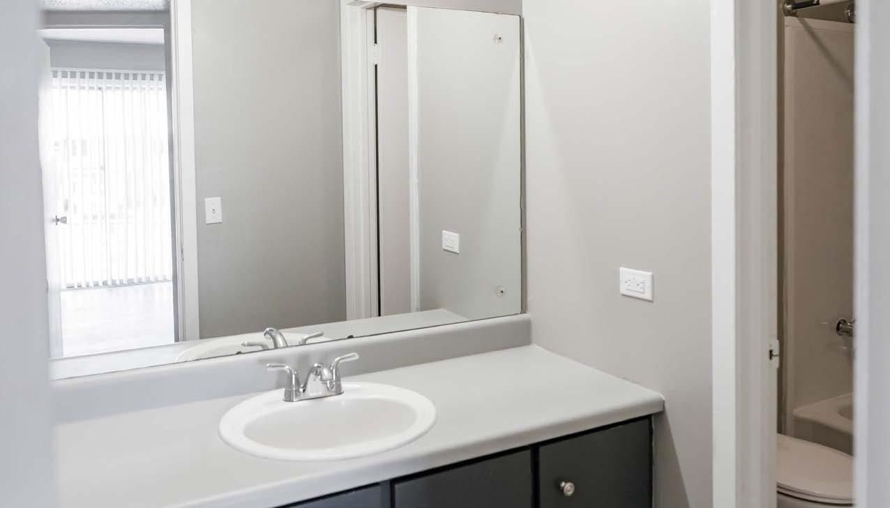 Bathroom vanity with white sink, large mirror, and dark cabinet in a bright interior.