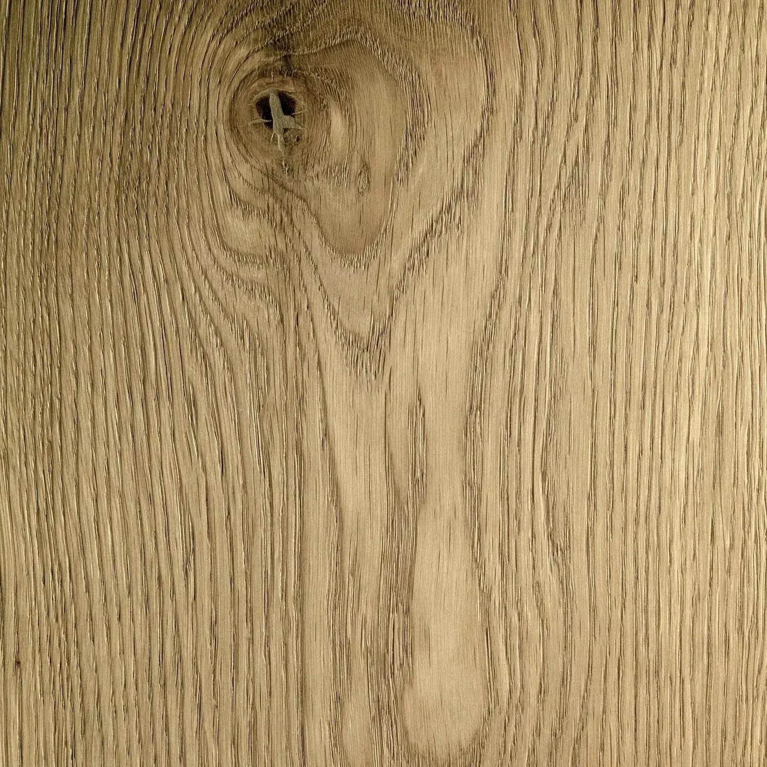Zoomable image