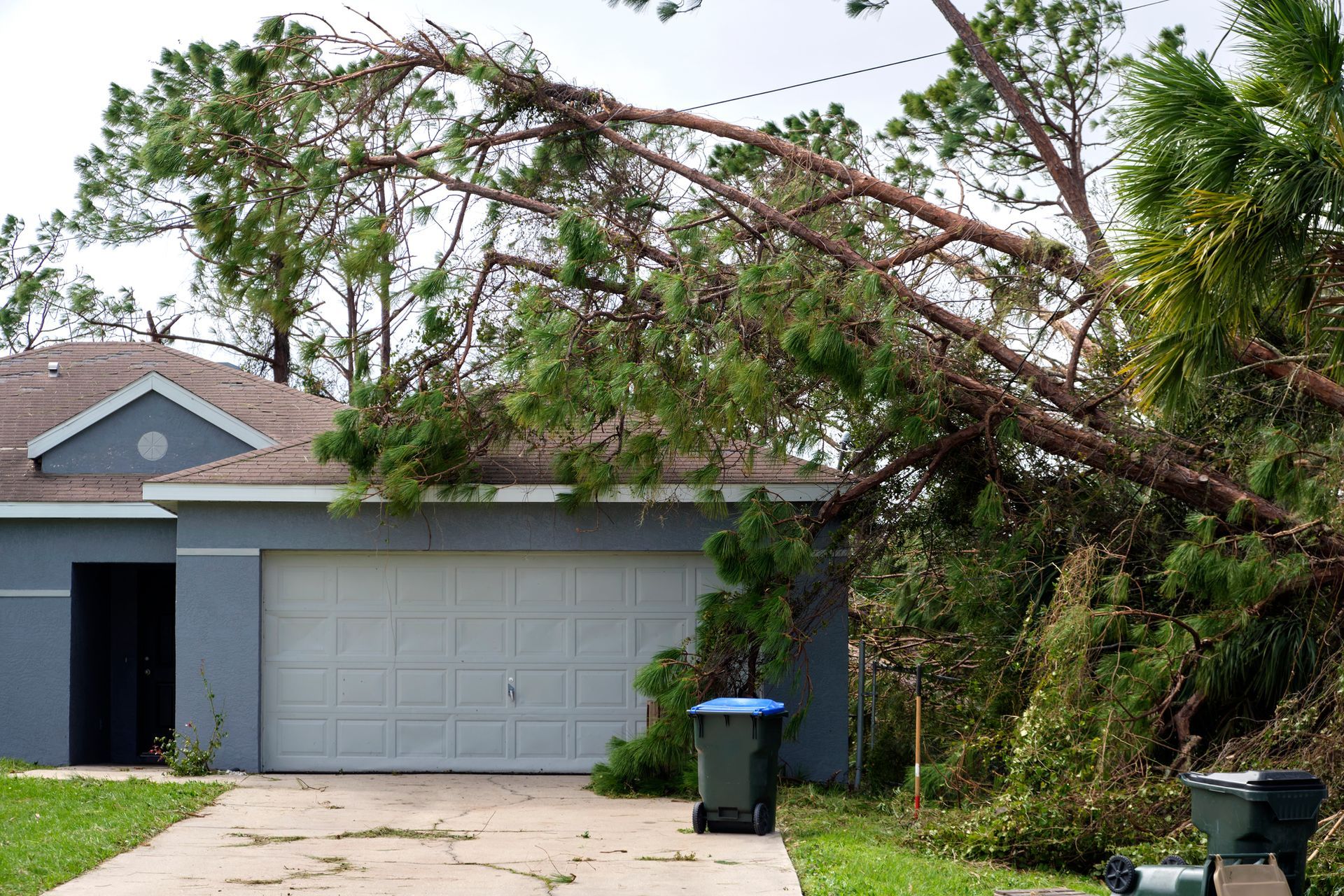 A house with a fallen tree in front of it. — Russellville, AL — 7 Oaks Tree Services LLC
