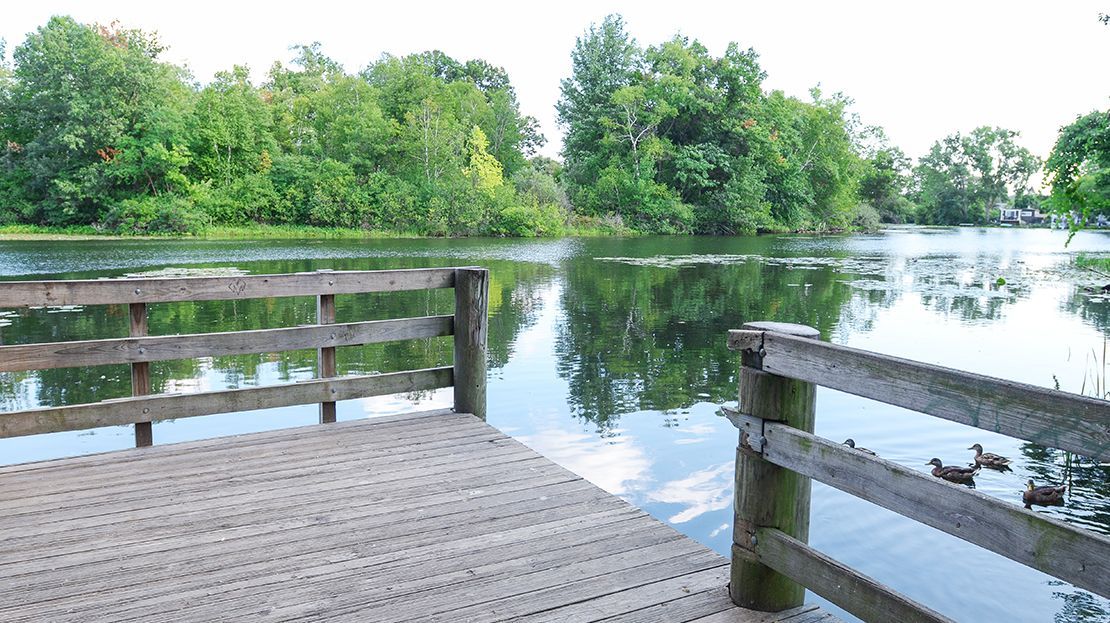 Wooden dock overlooking a calm lake with trees and greenery reflected in the water