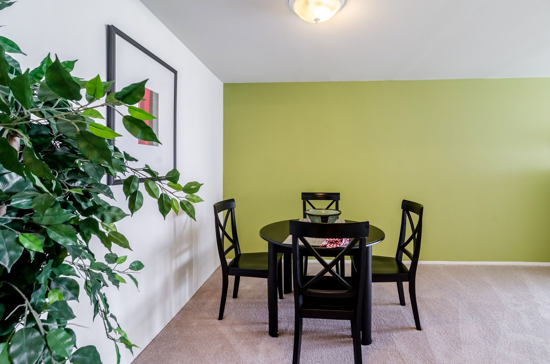 Dining room with a black table and chairs, green accent wall, carpeted floor, and a potted plant