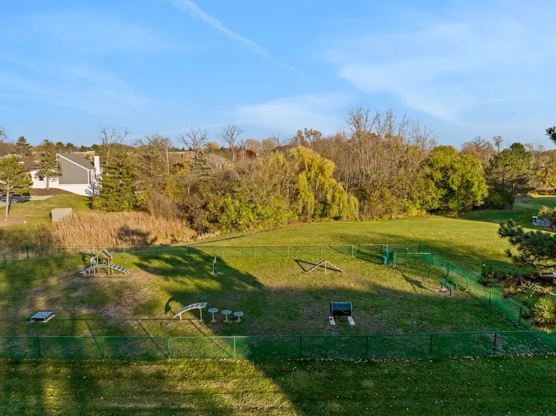 Grassy park with trees and a blue sky, viewed from a hilltop overlook