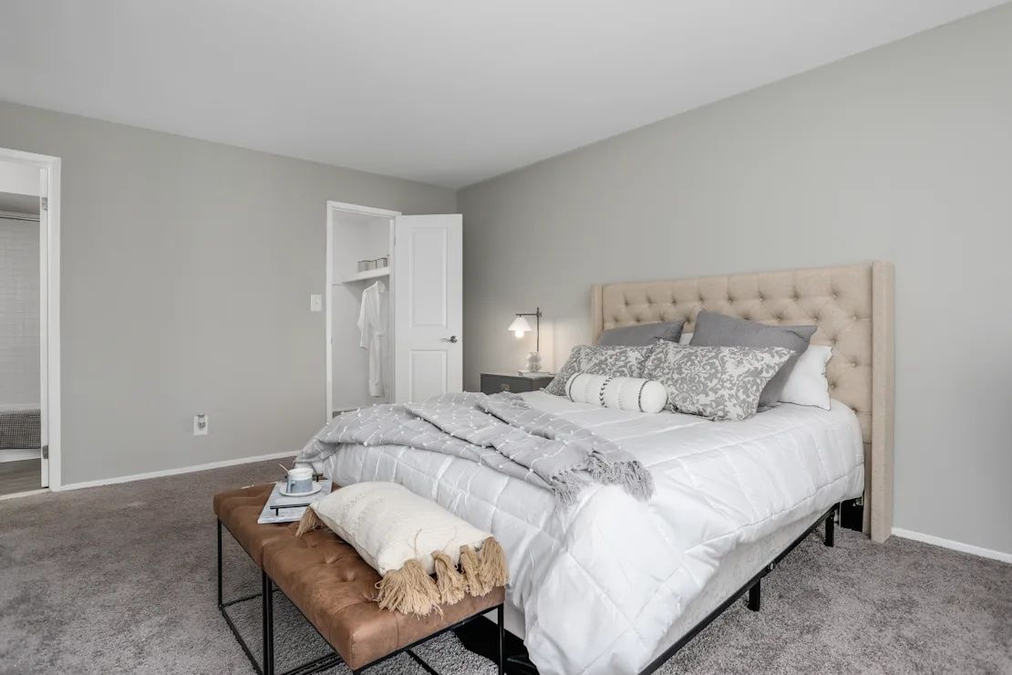 Bright bedroom with a tufted bed, bench, gray walls, and carpeted floor