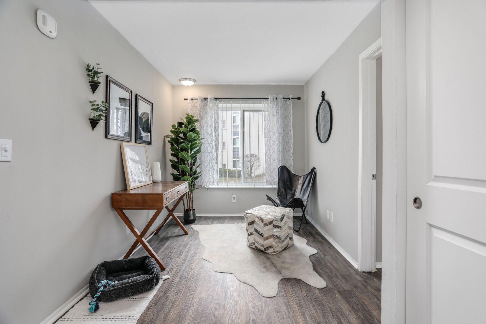 Bright hallway with gray walls, wood floors, console table, plants, chair, and a white rug near a window.