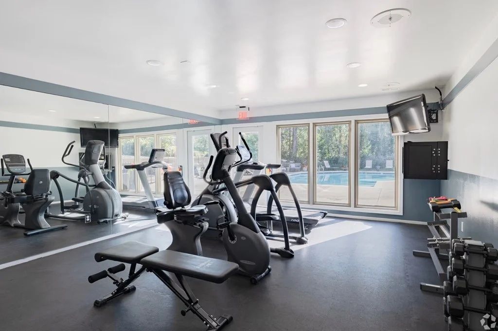 Modern gym with cardio machines, mirrors, dumbbells, and large windows letting in natural light