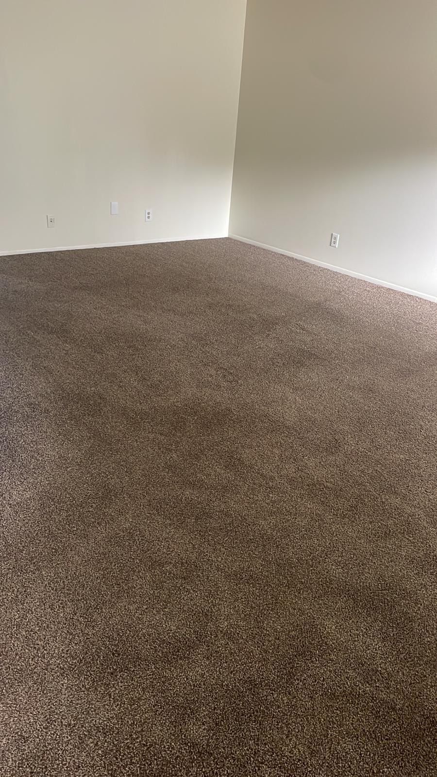 Empty beige-carpeted room with white walls and no furniture