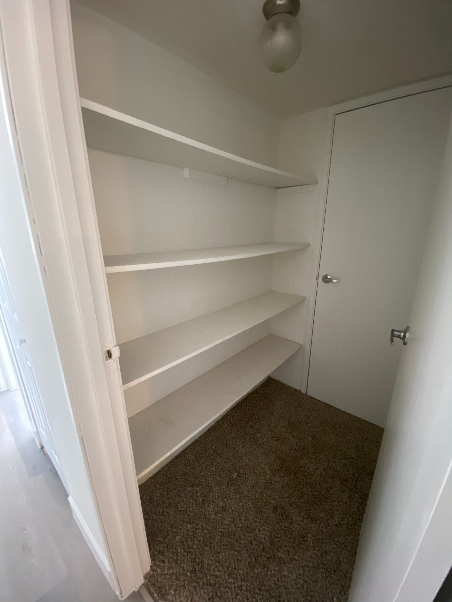 Small white closet with three shelves, a hanging light, and carpeted floor