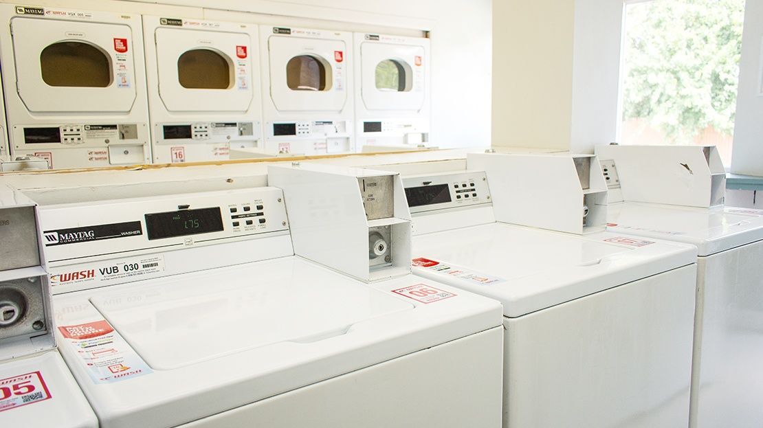 Laundry room with rows of white washing machines and dryers in bright sunlight