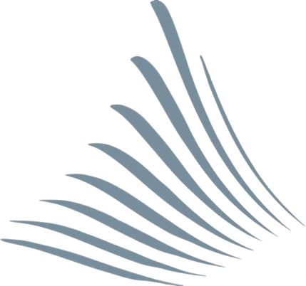 Pinnacle Integrations secondary logo