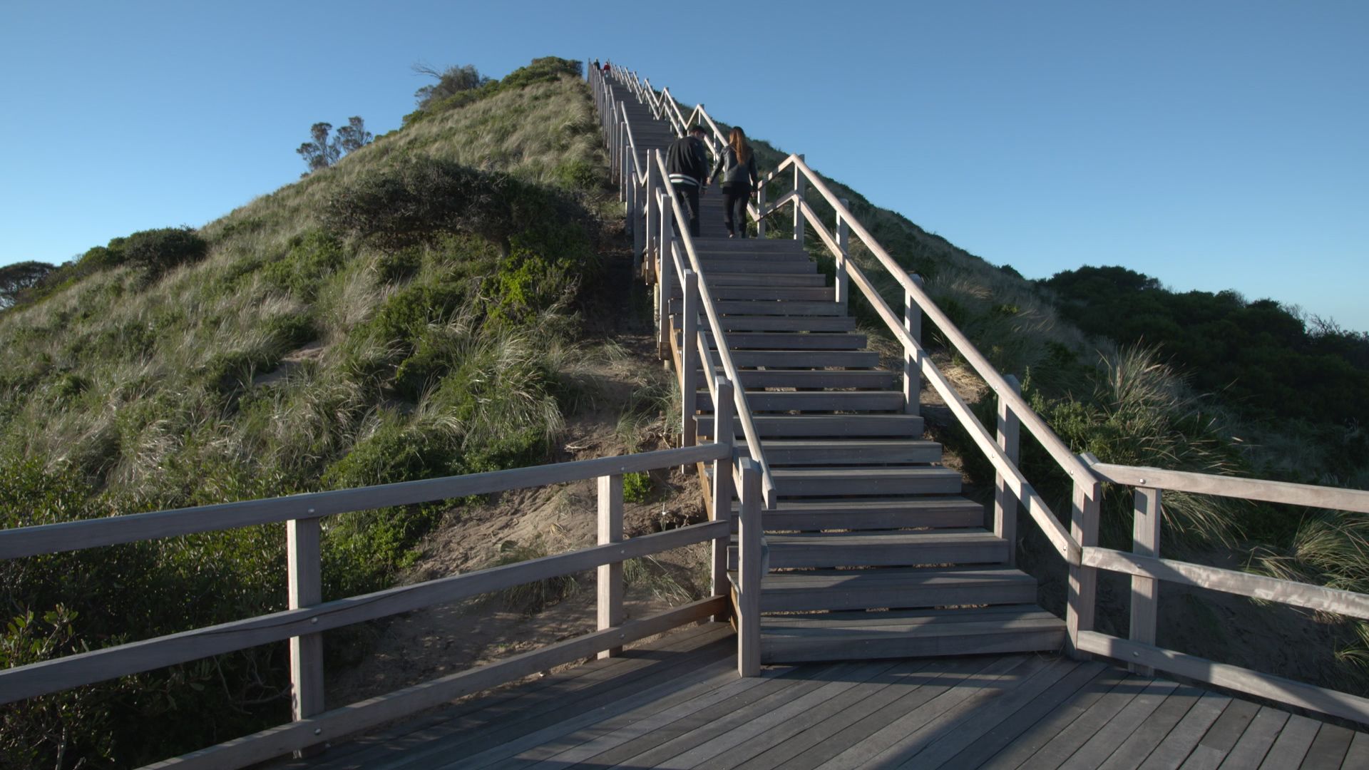 Wooden boardwalk stairs climb a grassy dune under a clear blue sky, with railings on both sides.
