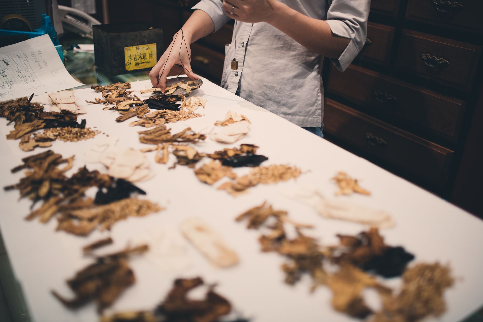 Person arranging dried leaves and herbs on a long white table in a workshop
