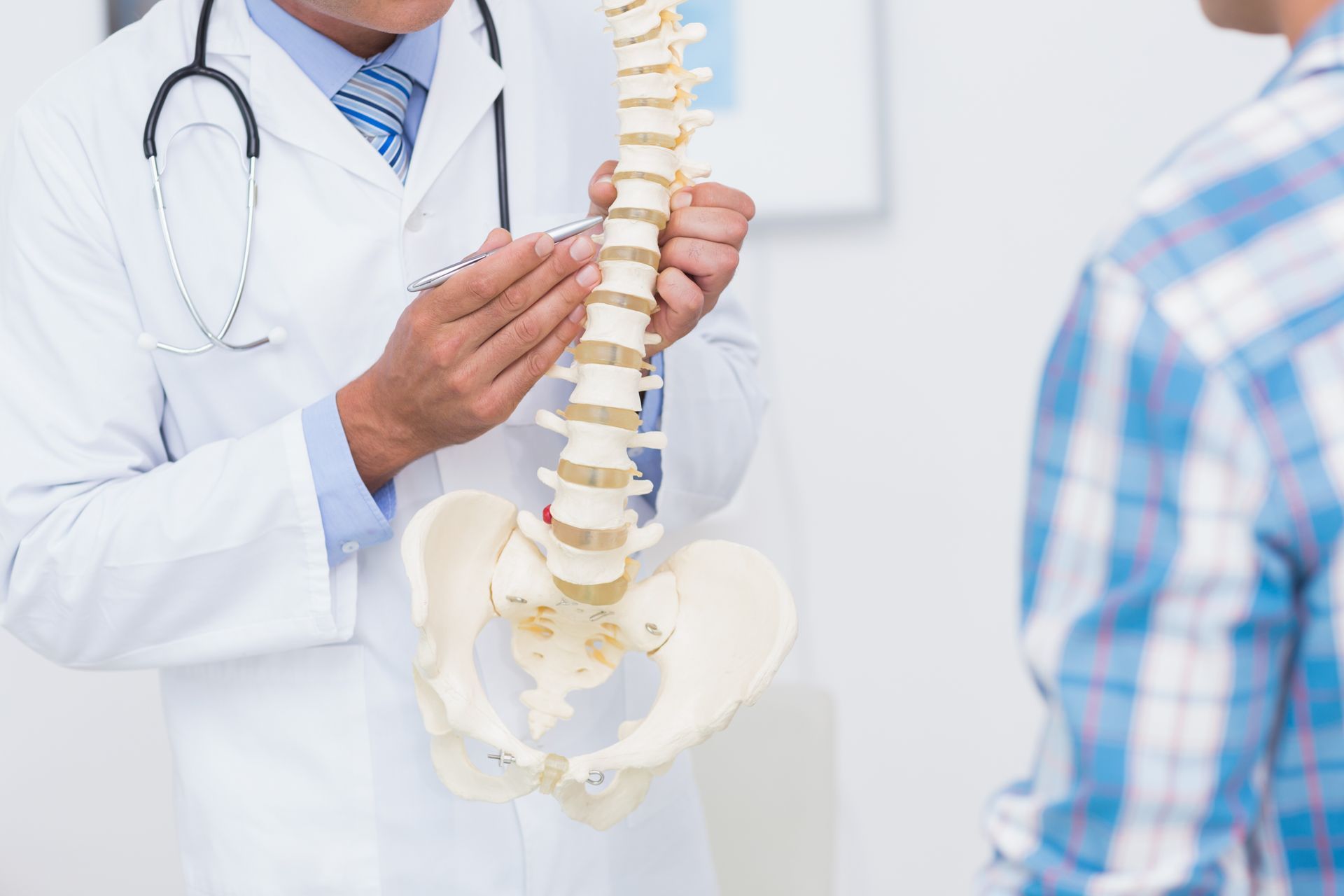 Doctor showing spine model to patient in a clinic