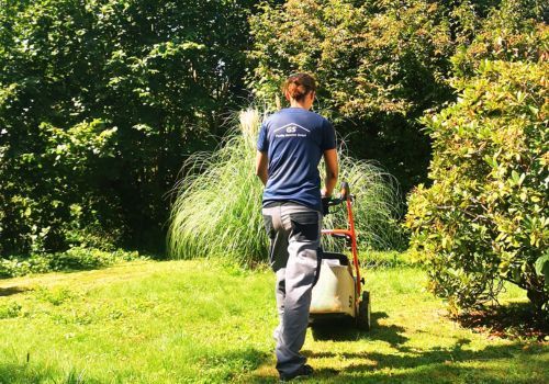 Eine Person mäht mit einem Handrasenmäher einen grasbewachsenen Gartenweg, umgeben von Bäumen und Sträuchern.