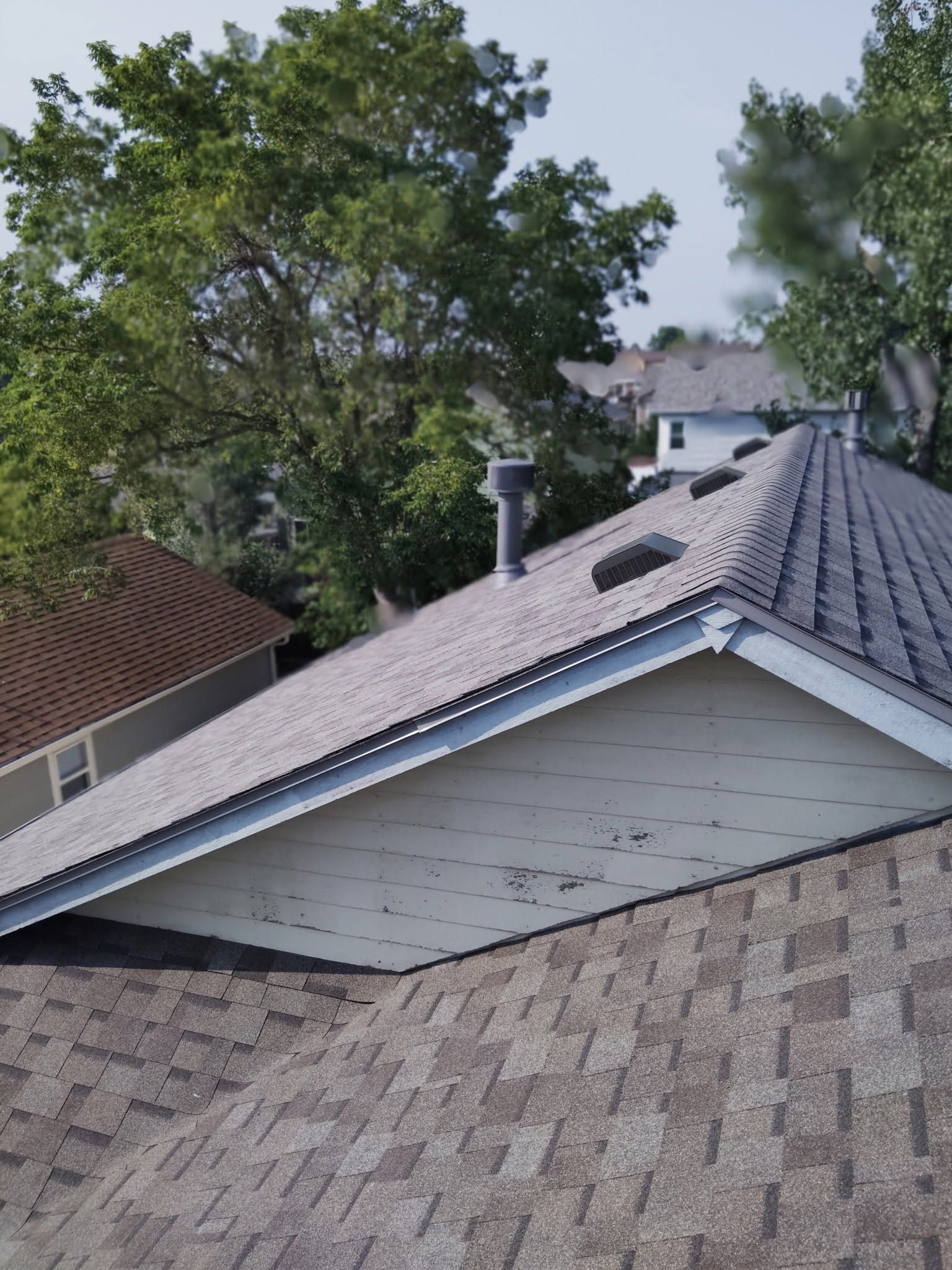Residential rooftops with gray shingles, vents, and trees in the background