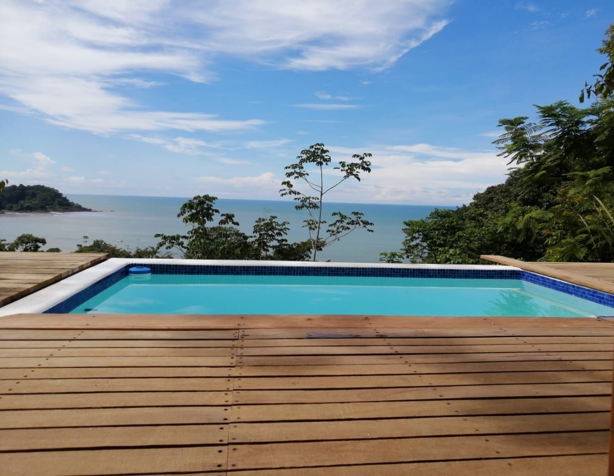 Swimming pool overlooking ocean, surrounded by wooden deck and lush green trees under a blue sky.