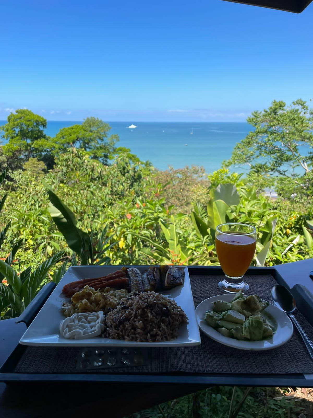 Breakfast plate with ocean view: eggs, rice, avocado, sausage, juice, set against lush green foliage and blue sea.