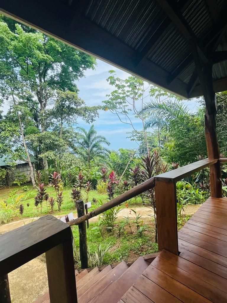 Wooden porch overlooking lush greenery and ocean view.