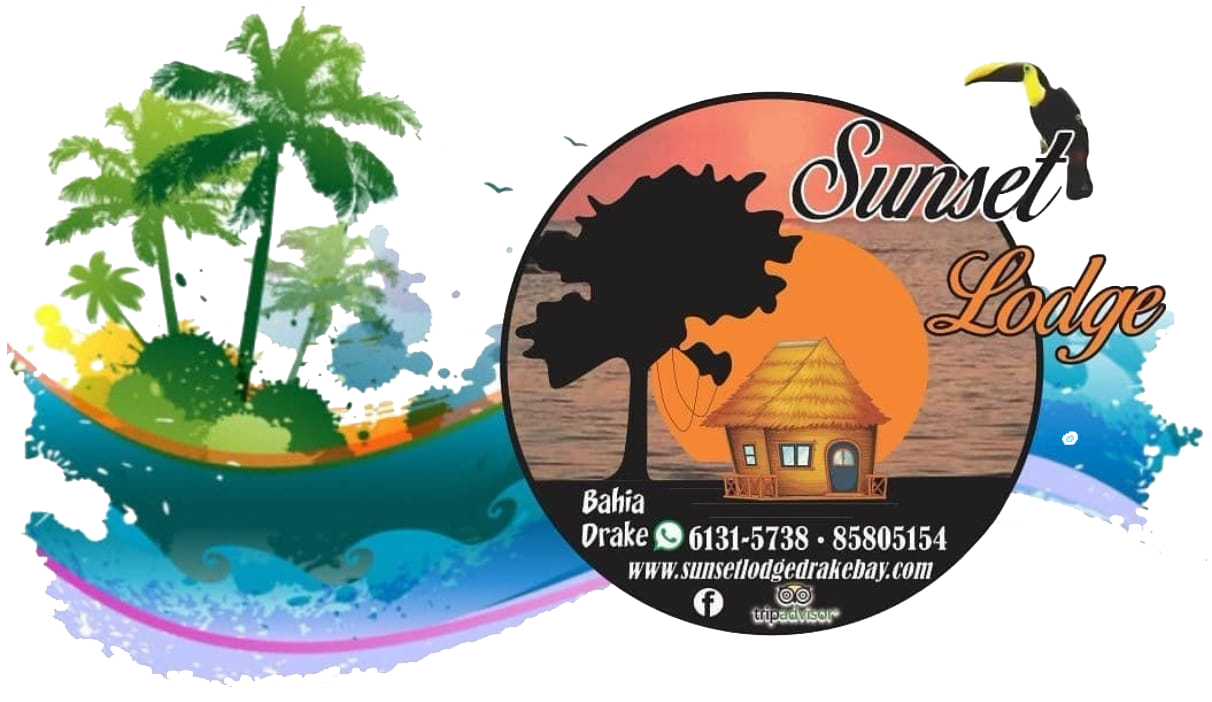 Sunset Lodge logo with palm trees, a hut, a toucan, and sunset over the ocean.