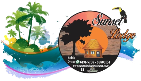 Sunset Lodge logo with palm trees, a hut, a toucan, and sunset over the ocean.