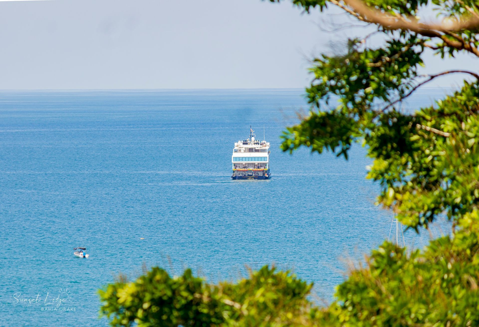 Ferry boat on blue ocean, seen through green tree branches.