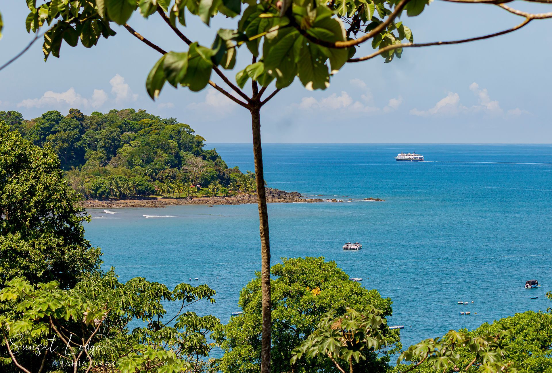 Ocean view with lush green island, blue water, boats, and a tree in the foreground.