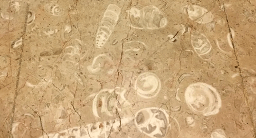 Limestone Flooring