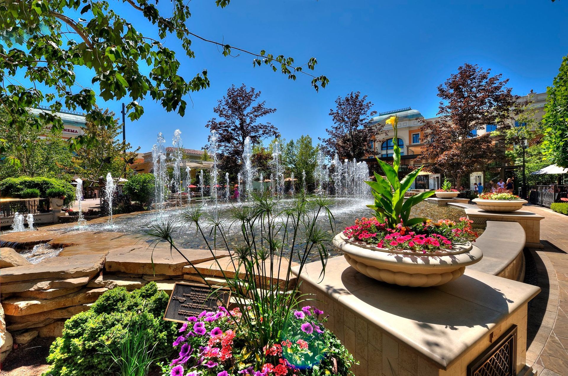 West Boise/Meridian