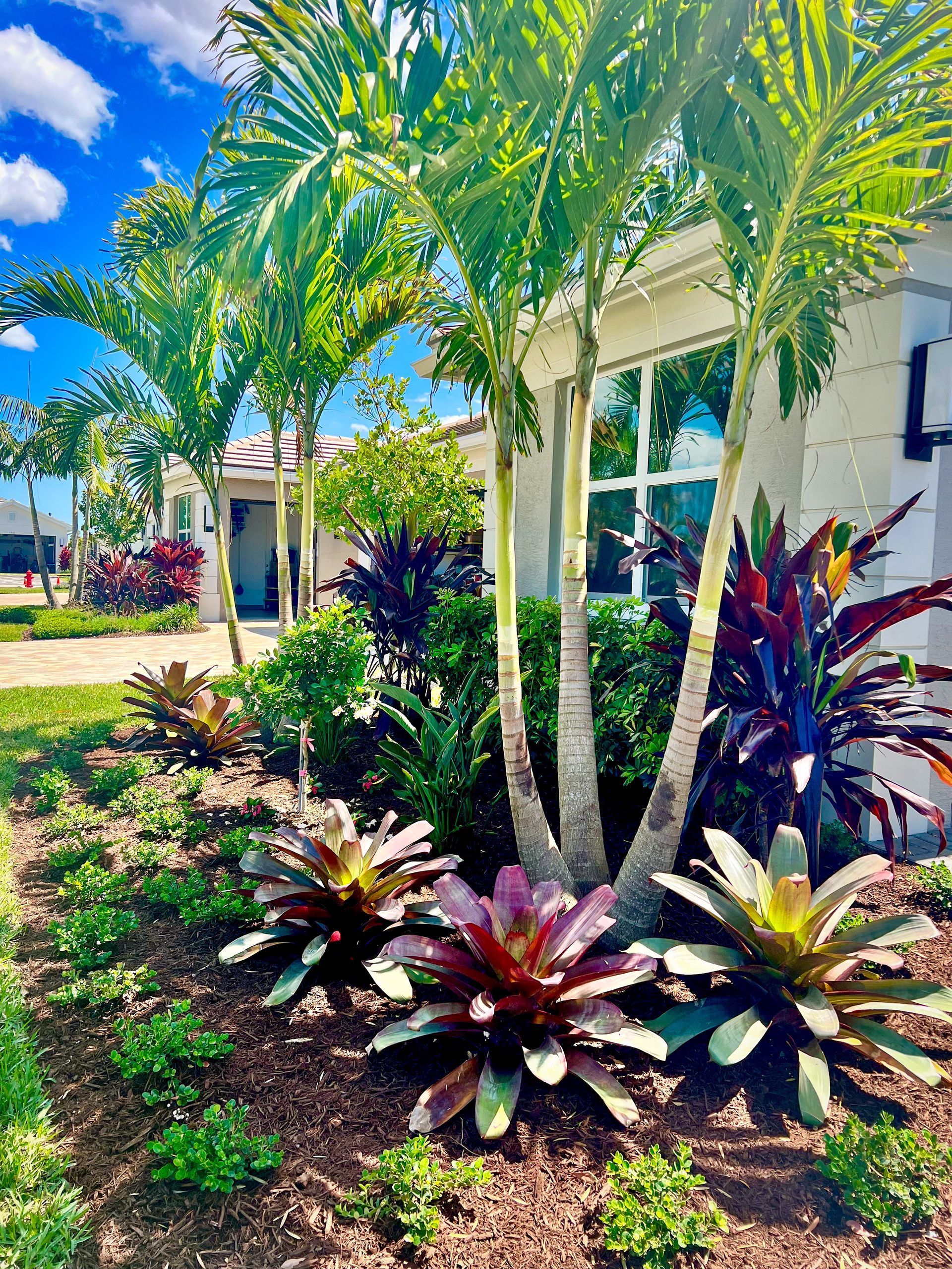 Tropical Designs Feature Bold Colors 