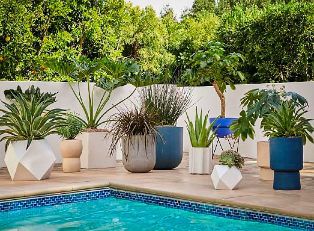 Zen Garden Design