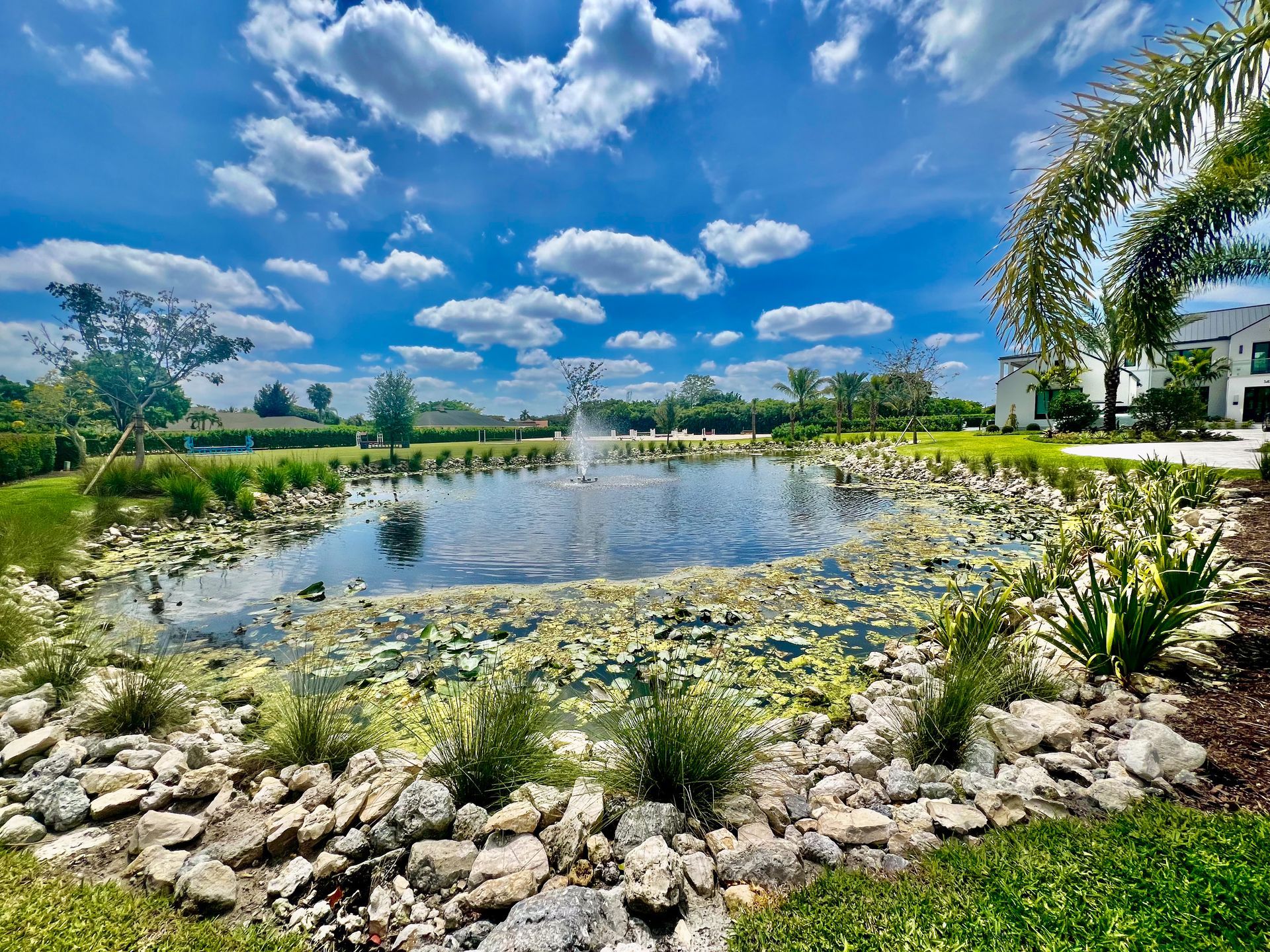 Water feature with grasses