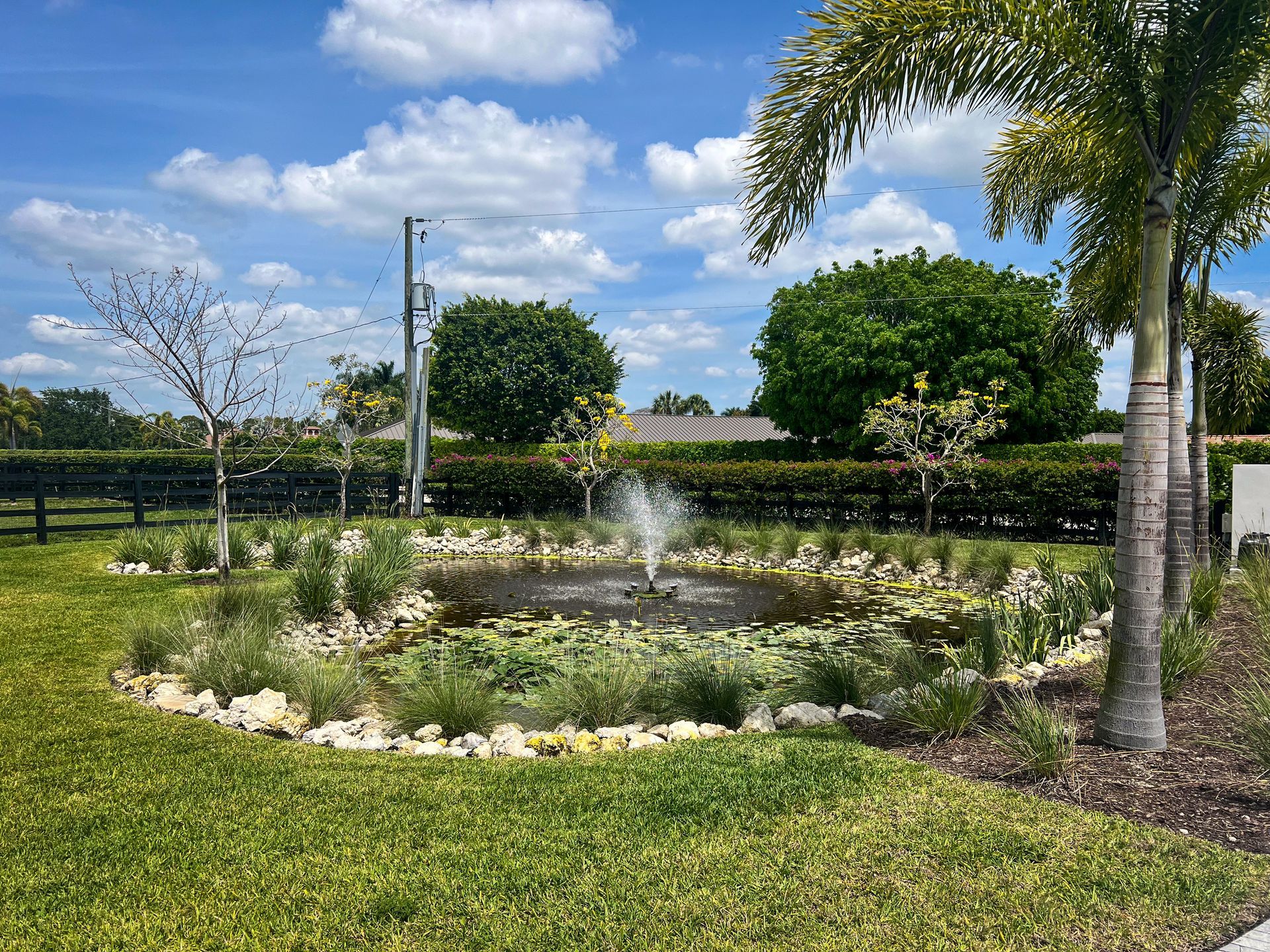 Wellington home with pond feature, landscaping and palm trees.