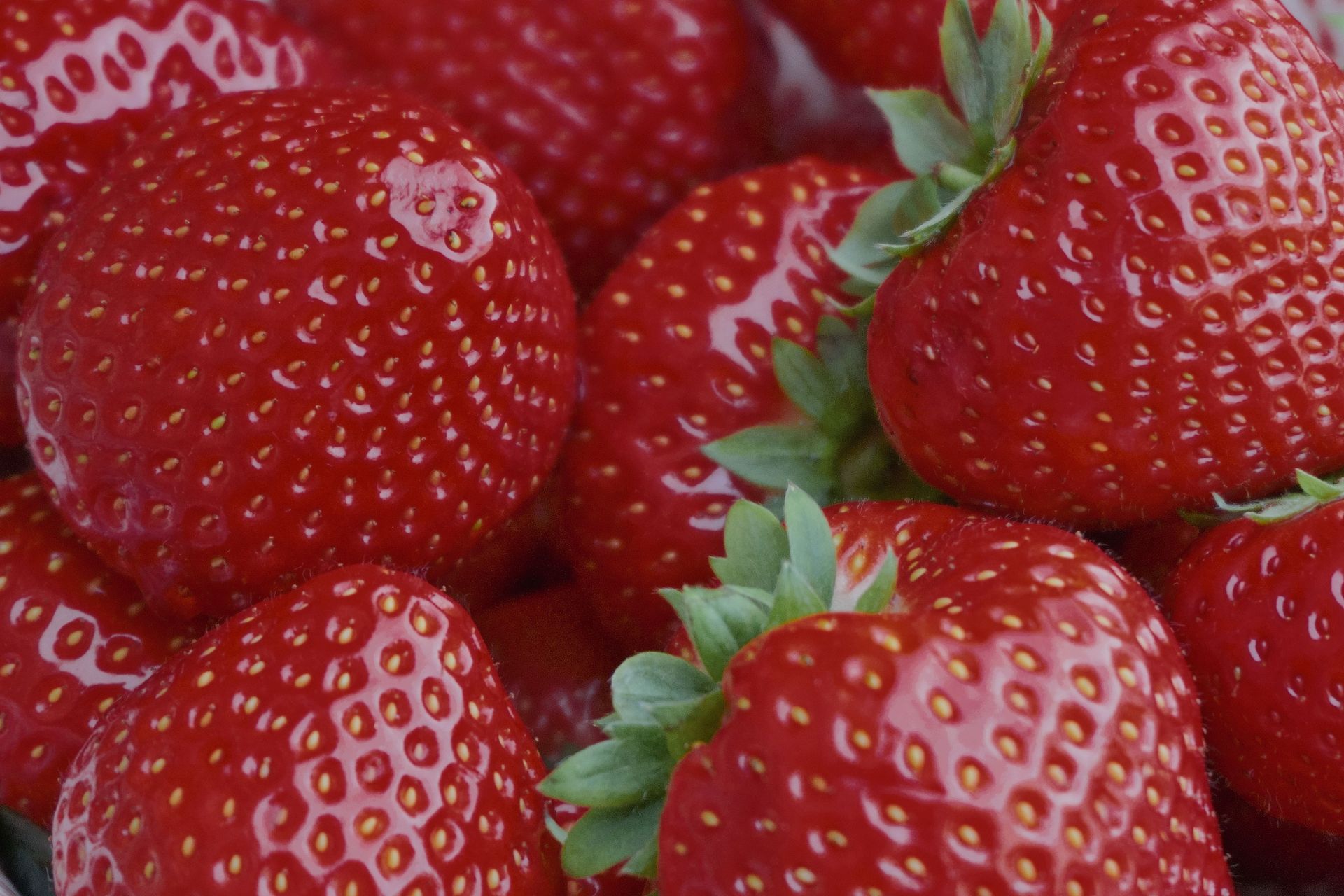 Fresh Forward: Strawberry Cheesecake Dip