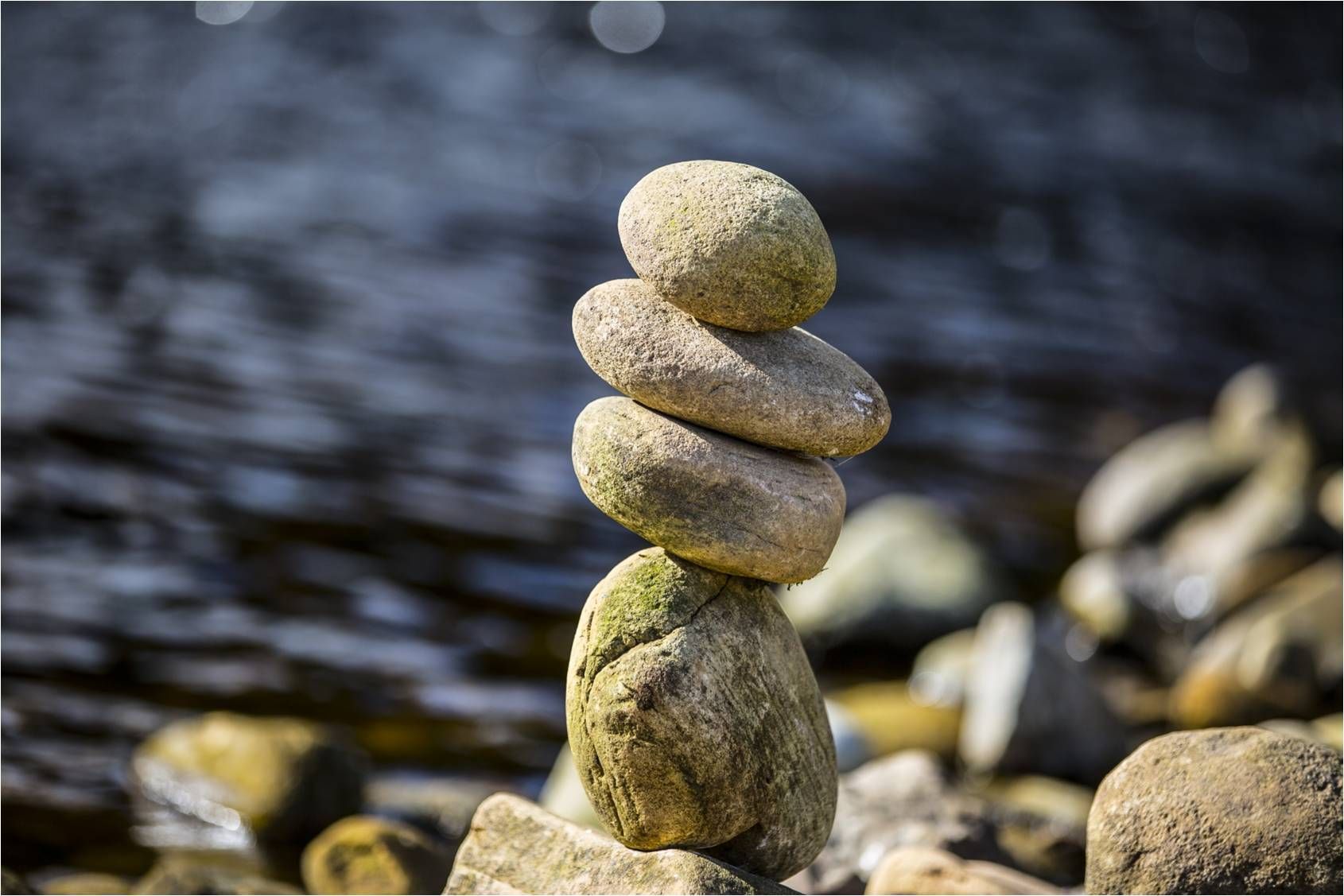 BLENDING PHYSICAL, EMOTIONAL & NUTRITIONAL WELLNESS
