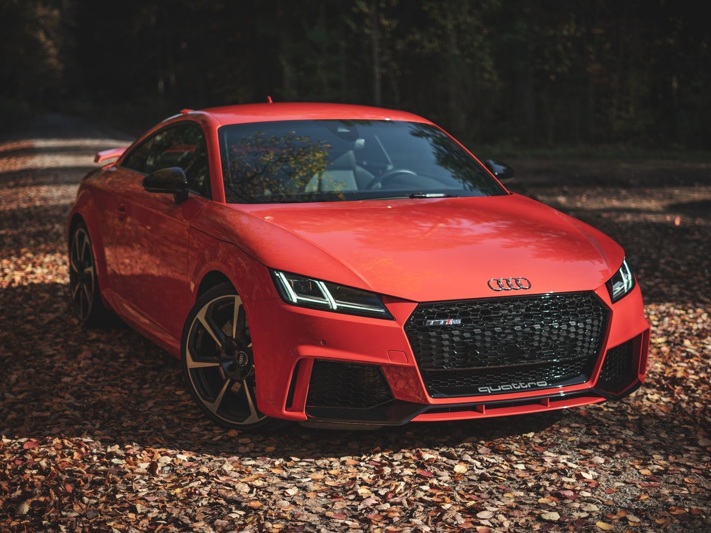 A red Audi TT coupe parked on a ground covered with autumn leaves.