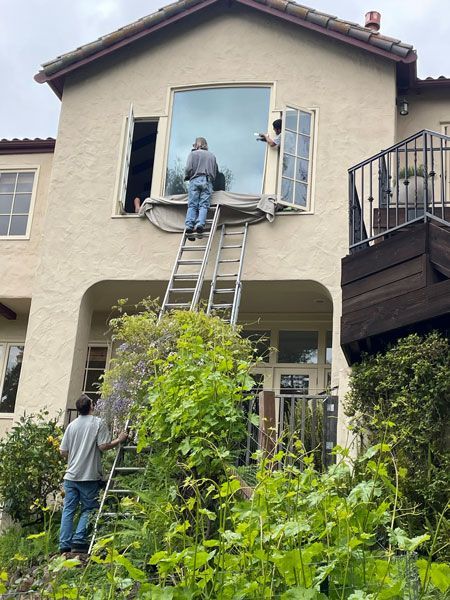 Two people working on a ladder to an upper window of a beige house with overgrown plants below