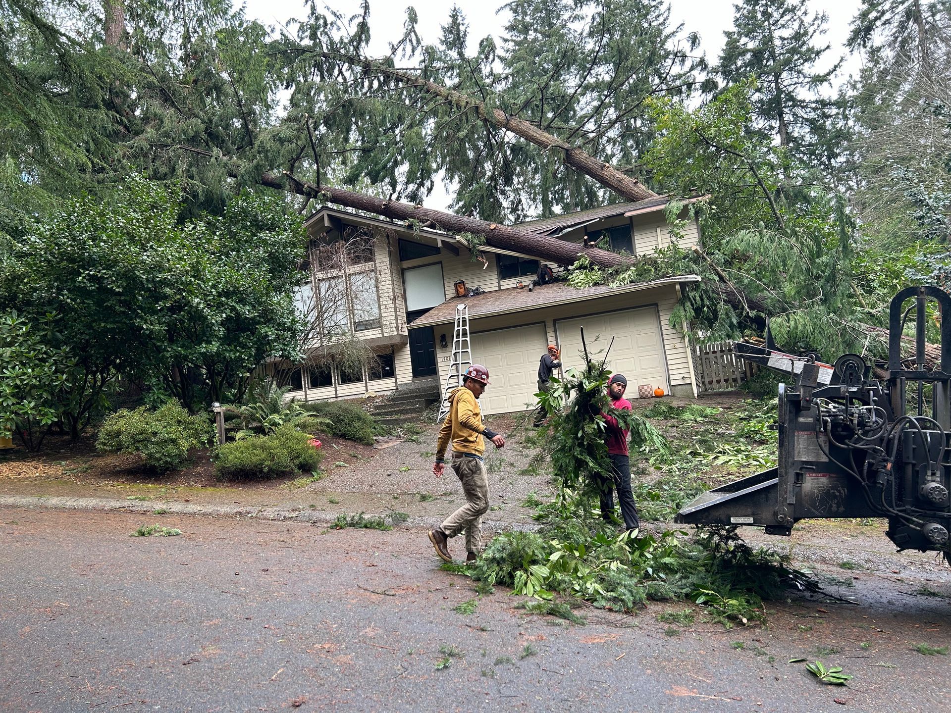 A large tree has fallen on a house.