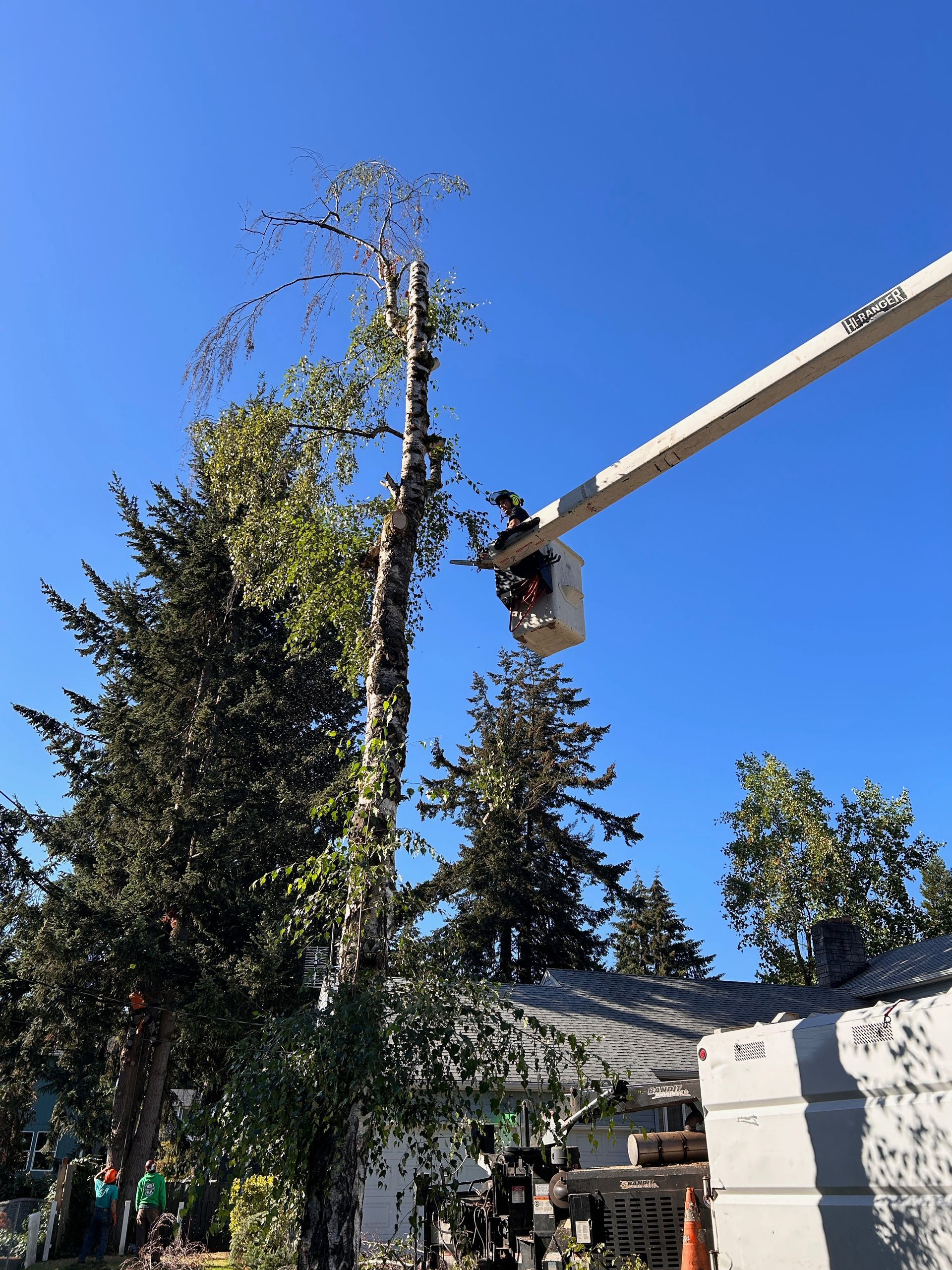 A man in a bucket is cutting a tree in front of a house.
