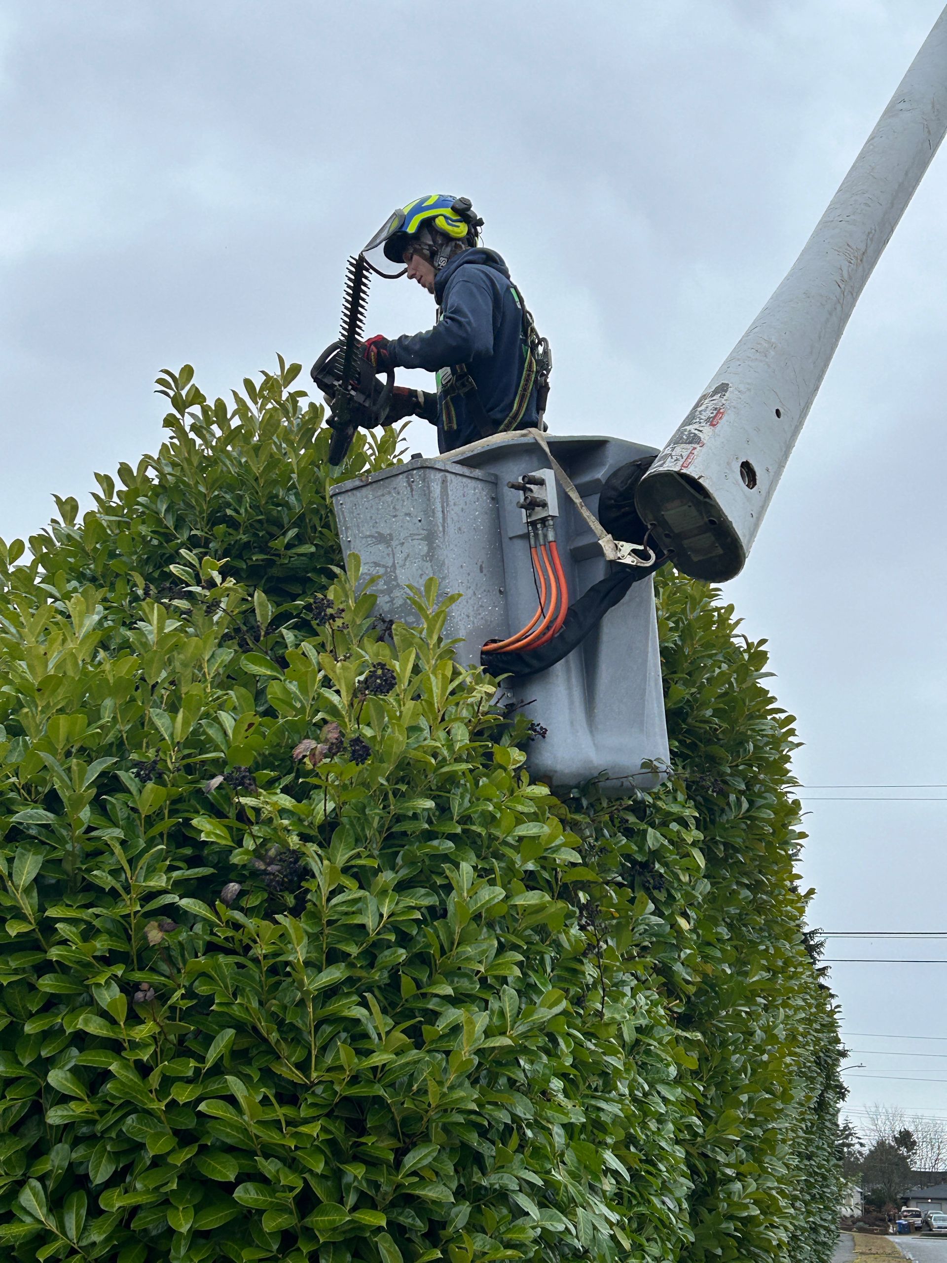 A person is mowing a lush green lawn with a lawn mower.