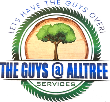 The Guys @ All Tree Services The Guys @ All Tree Services