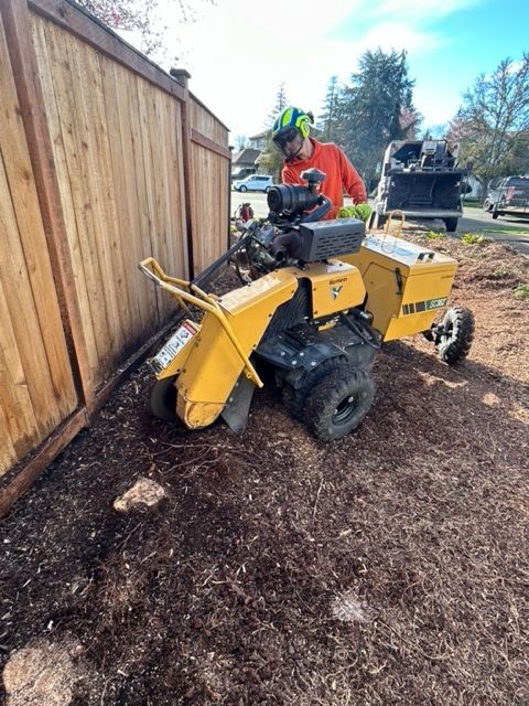 A man is using a stump grinder to remove a tree stump.