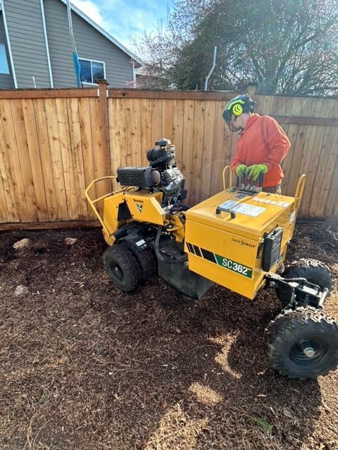 A man is cutting a tree with a chainsaw.